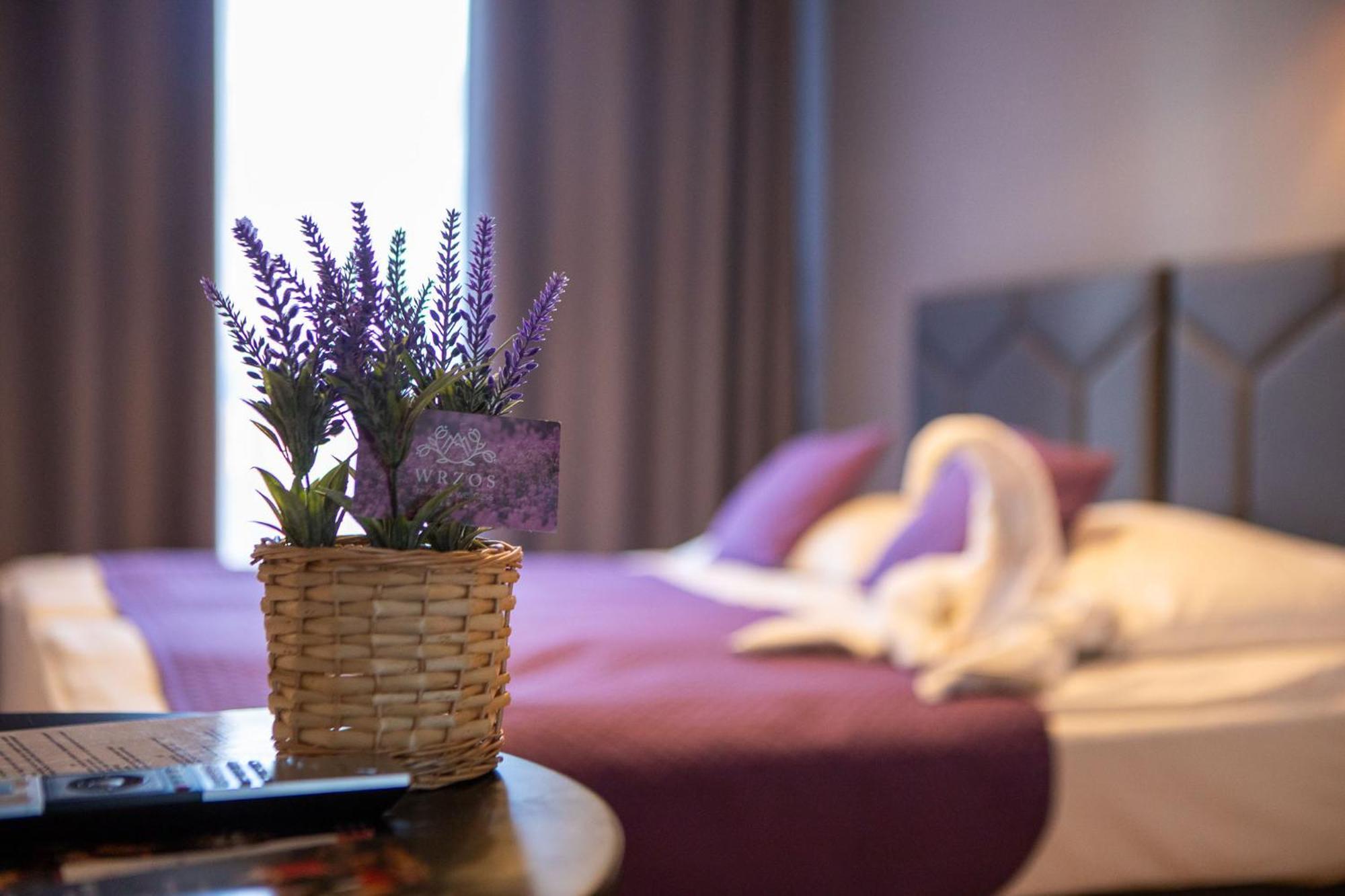 Wrzos Resort & Wellness Wegierska Gorka Buitenkant foto